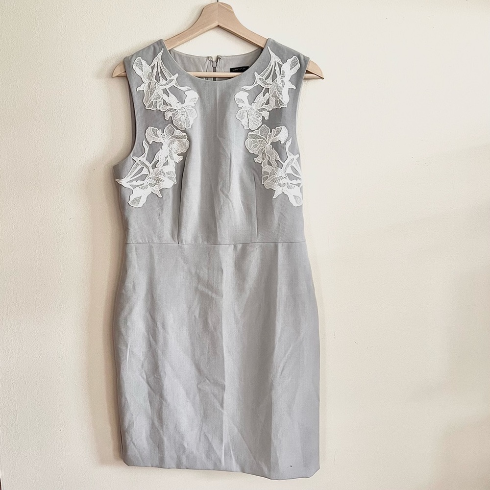 Ann Taylor Women Grey Dress with White Embrodiered Laced Knee Length Size 8